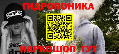 ГАЛЛЮЦИНОГЕННЫЕ ГРИБЫ Гусь-Хрустальный