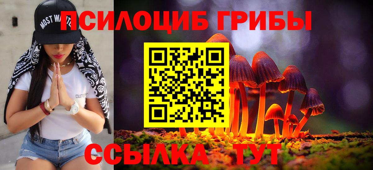 Псилоцибиновые грибы Psilocybine cubensis Белогорск